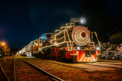 NATAL ILUMINADO & ENCANTOS DA SERRA GAÚCHA