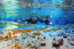 PANTANAL - Corumba & Bonito