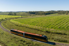 TREM DOS PAMPAS E COMPRAS EM RIVERA