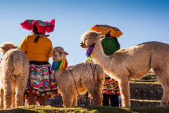 EXPEDIÇÃO DAS AMÉRICAS - MACHU PICCHU COM SALAR DO UYUNI