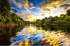 EXPEDIÇÃO AMAZÔNIA