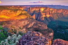 EXPEDIÇÃO PANTANAL E CHAPADA DOS GUIMARÃES